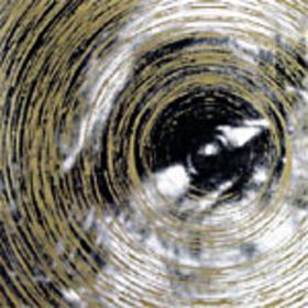 Examination Of The... - The Whitest Of Elephants - CD (2004)