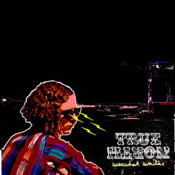 True North - Somewhat Similar - LP (2004)