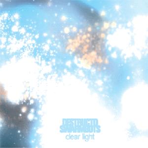 Destructo Swarmbots - Clear Light - CD (2007)