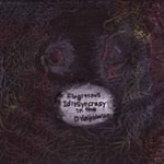 Flagitious Idiosyncracy In The Dilapidation - s/t - CD (2008)