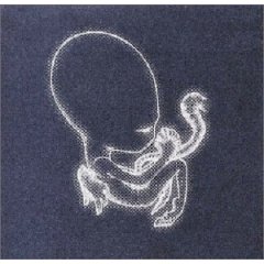 Sigur Ros - Ágætis Byrjun - CD (1999)