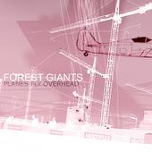 Forest Giants - Planes Fly Overhead - CD (2006)