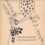 Devendra Banhart - Little Yellow Spider - 7
