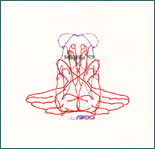 Signal to Trust - s/t - 7