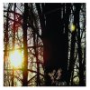 Warmth - Original Warmth - CD (2008)