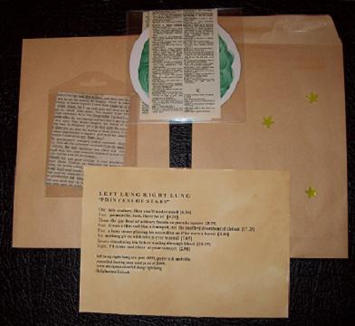 Left Lung Right Lung - Princess Of Stars - CD (2008)