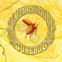 The Blinding Light - Junebug - CD (2009)