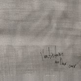 l'antietam - Arthur Carr - LP (2007)