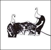 D Yellow Swans - Dreamed Yellow Swans - CD (2005)