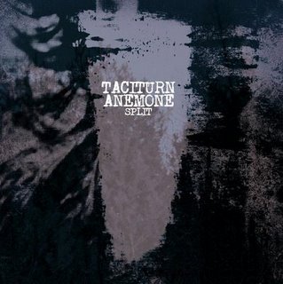 Taciturn - Anemone - Split - LP (2009)