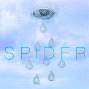 Spider - Things We Liked To Hold - CD (2009)