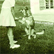 Chillerton - Hollow Lane - 7