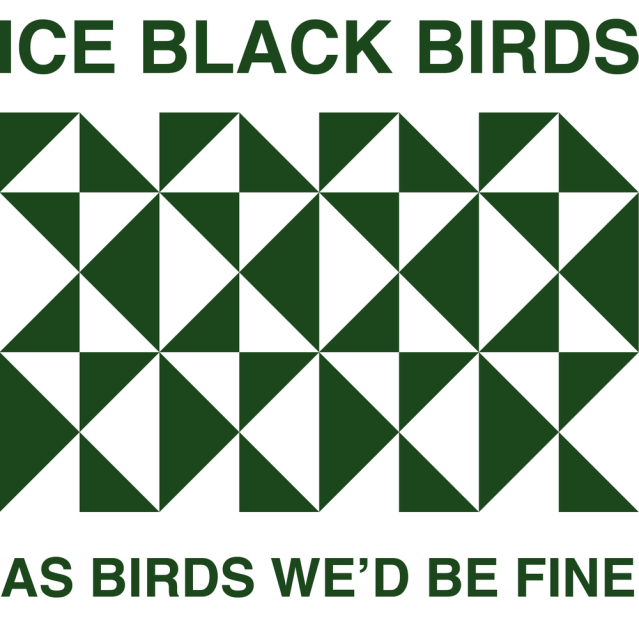 Ice Black Birds - As Birds We'd Be Fine - CD (2010)