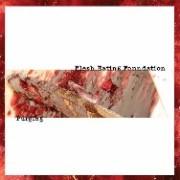 Flesh Eating Foundation - Purging - CD (2009)
