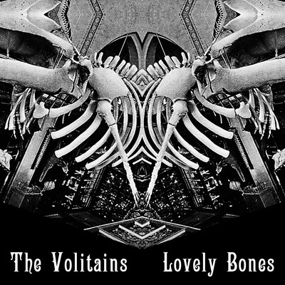 the Volitains - Lovely Bones - CD (2010)