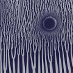 Sunn 0))) - The Grimm Robe Demos - CD (2000)