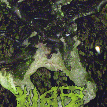 Vaz - Chartreuse Bull - Tape (2011)