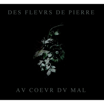 Tol Eressea - Des fleurs de pierre au cÅ