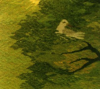 Mountains - Sewn - CD (2006)