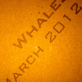 Whales - March Twenty Twelve - Download (2012)