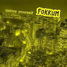 Fokkum - Notice Yourself - CDR (2011)