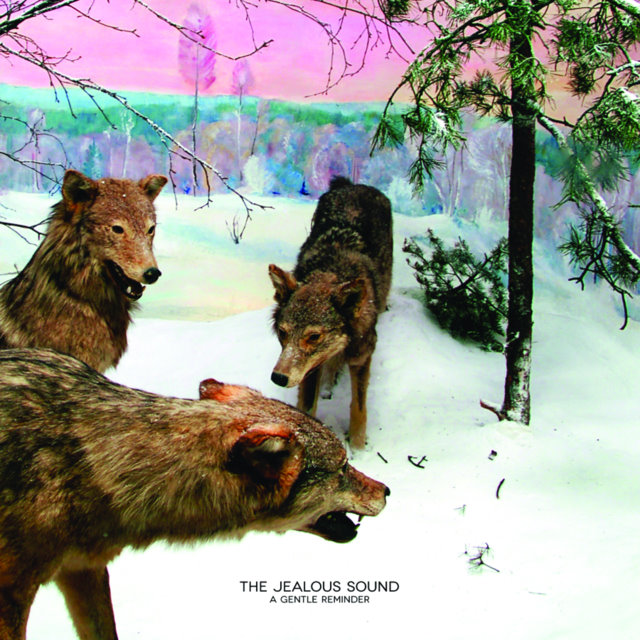 The Jealous Sound - A Gentle Reminder - CD (2013)