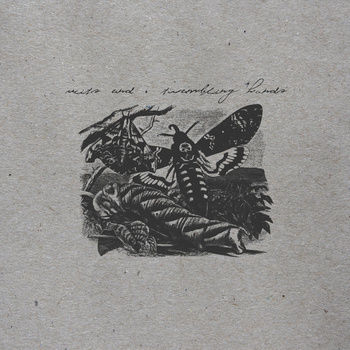 Wits End - Trembling Hands - split - 7