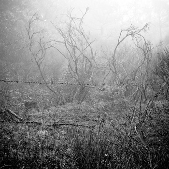 Dirtdrinker - s/t - 7