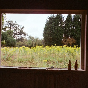 Courtyard - demo - Tape (2013)