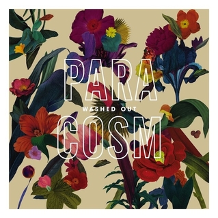 Washed Out - Paracosm - LP (2013)