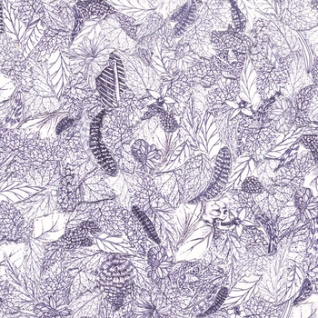 Pax Indigo - It Rained Blue - Tape (2013)