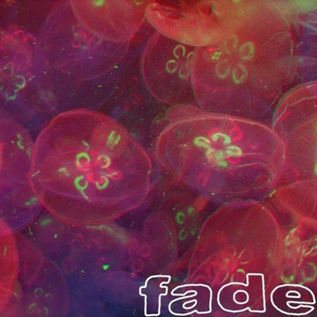 Fade - demo - Tape (2013)
