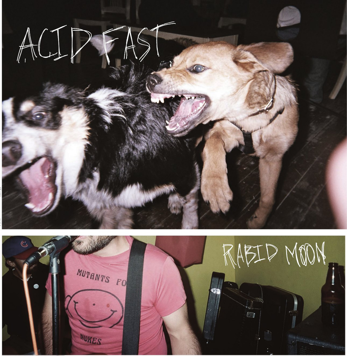 Acid Fast - Rabid Moon - LP (2014)