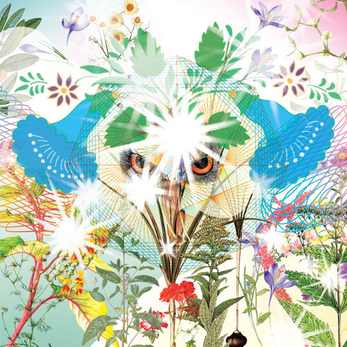 OOIOO - Gamel - CD (2014)