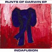Indafusion - Runts of Darwin - CD (2006)