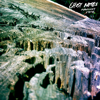 Ghost Notes - Moonlight State - LP (2014)