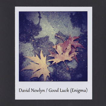 David Newlyn - Good Luck (Enigma) - CD (2014)