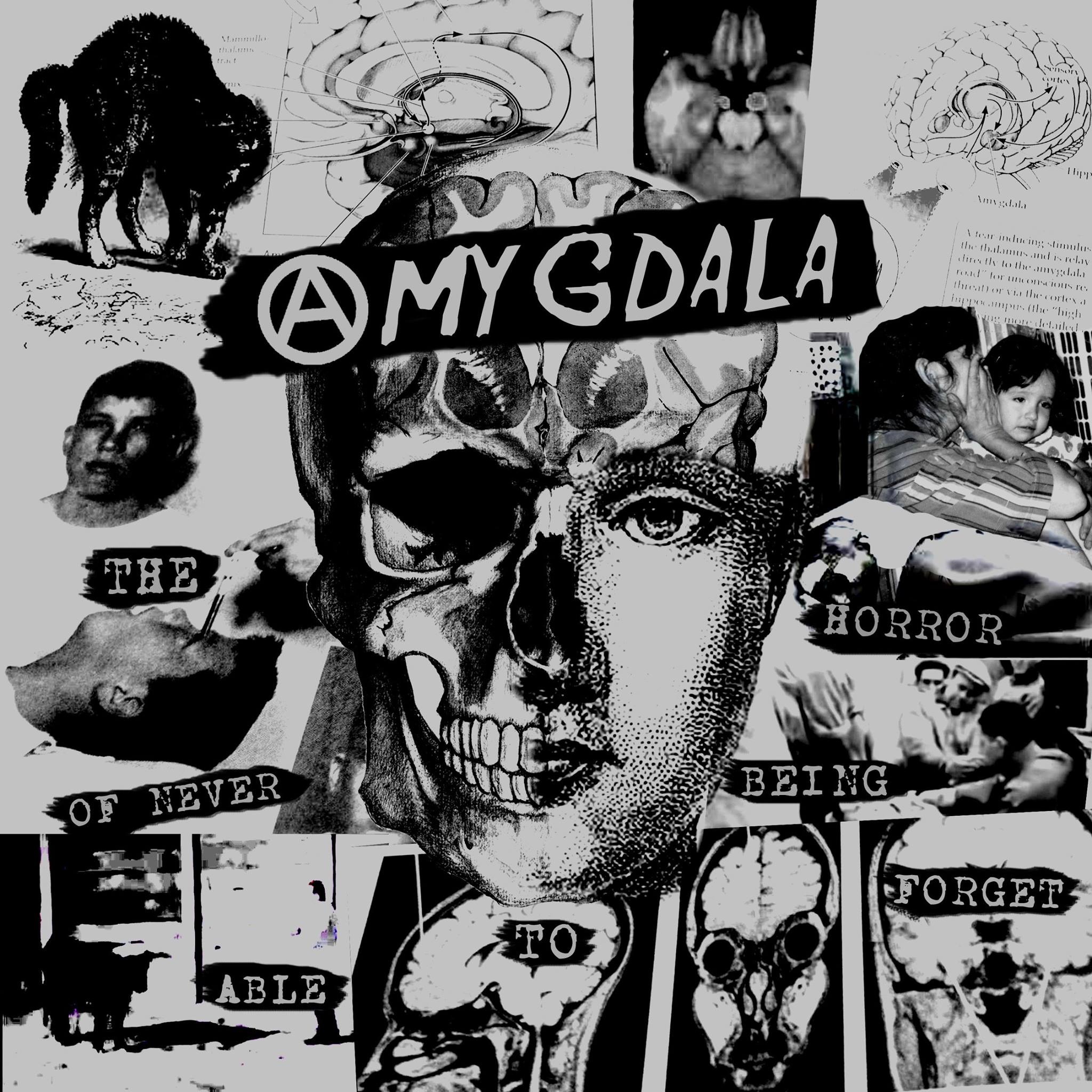 Amygdala - The Horror Of Never Being Able To Forget - 7