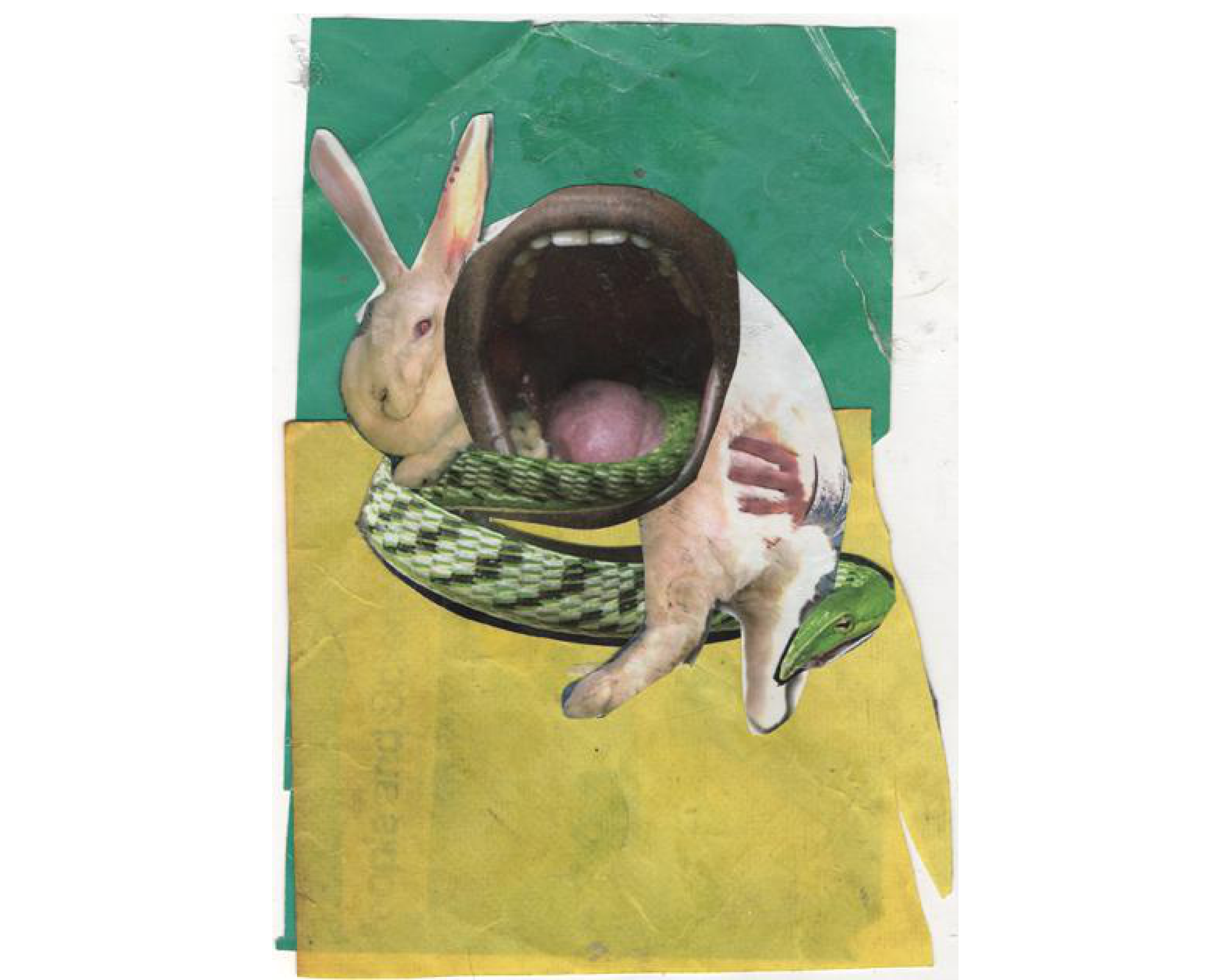Graham Repulski - Maple Stag - Tape (2014)