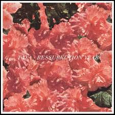 Taxa - Resurrection Year - 7