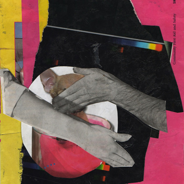 Graham Repulski - Success Racist - CD (2015)