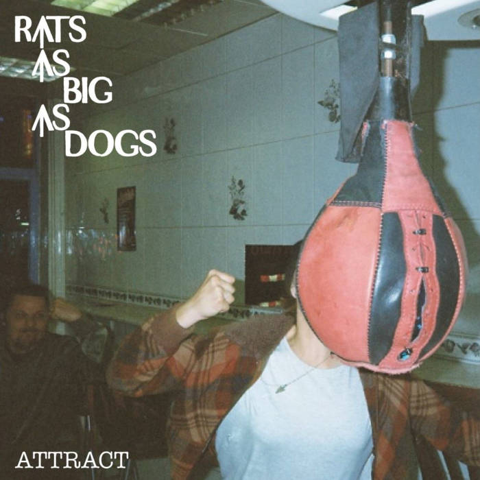 Rats As Big As Dogs - Attract - Download (2015)