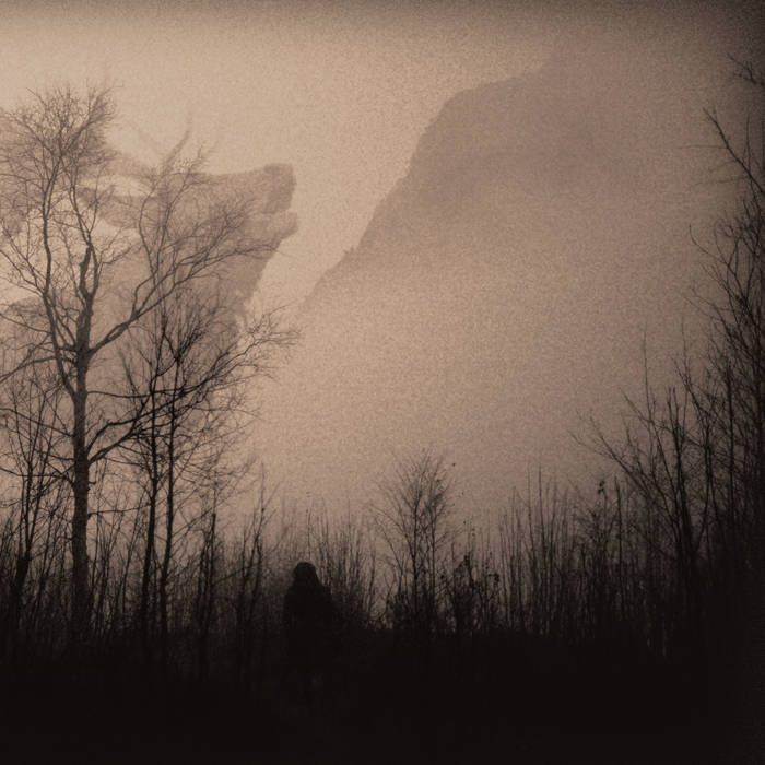 Antlers - A Gaze Into The Abyss - LP (2015)