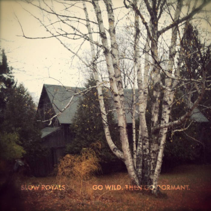 Slow Royals - Go Wild. Then Go Dormant - Tape (2016)