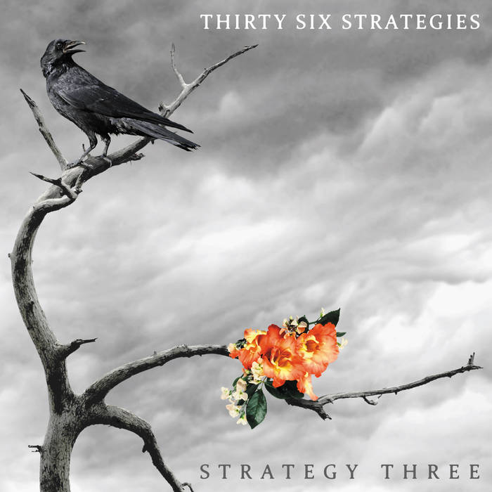 Thirty Six Strategies - Strategy Three - CD (2015)