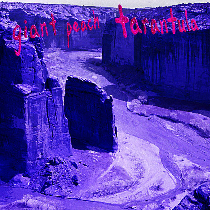 Giant Peach - Tarantula - LP (2016)