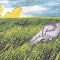 Dutch Husband - Fantasy Blanket & the Fall Chorus - CD (2008)