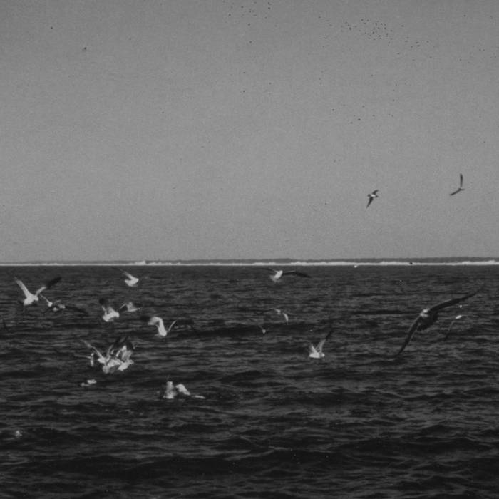 Cemeteries - Barrow - Download (2015)