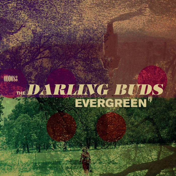 The Darling Buds - Evergreen EP - 10