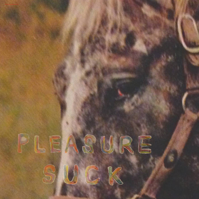 the Spirit of the Beehive - Pleasure Suck - LP (2017)
